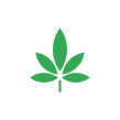 glow in the dark marijuana leaf