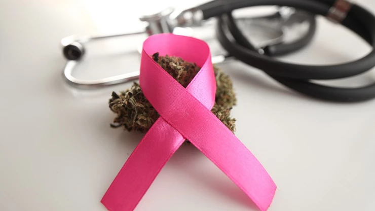cancer de mama y cannabis